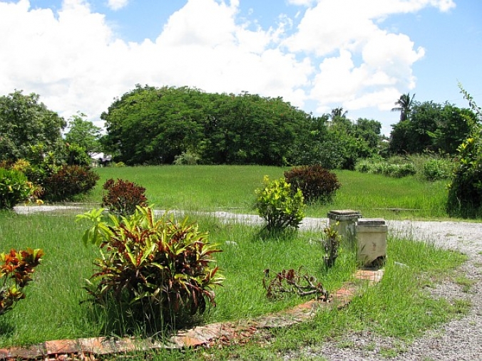 For Sale Country Road, Dunsinane Commercial Barbados Property for