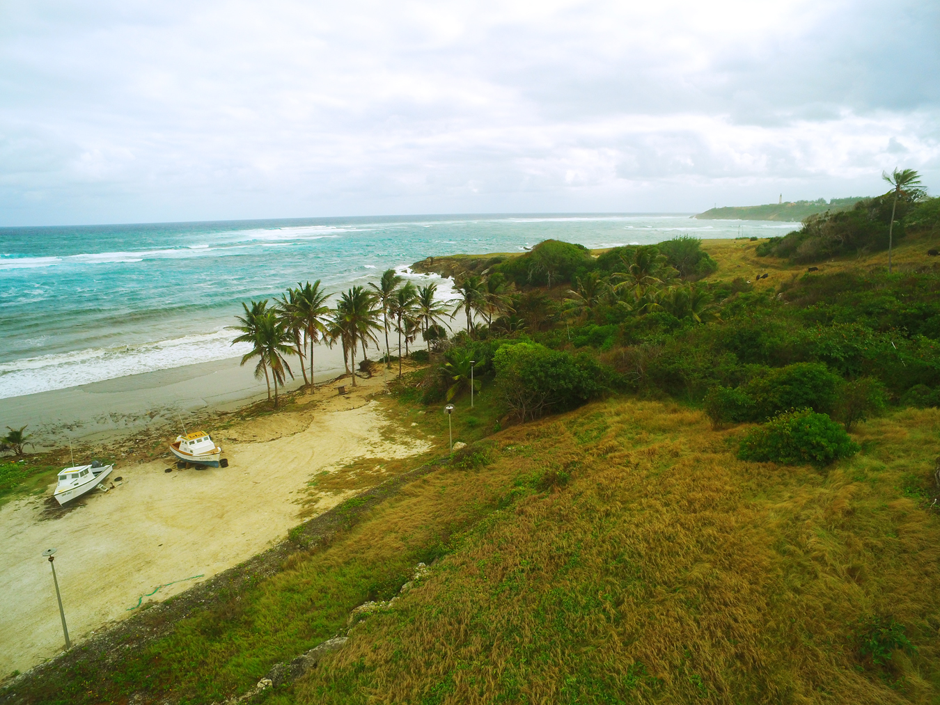 For Sale Skeetes Bay St Philip Barbados Land Barbados Property For Sale At Realtors