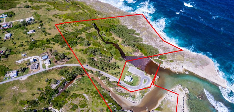 River Bay Development Land For Sale St. Lucy Barbados Aerial Outline