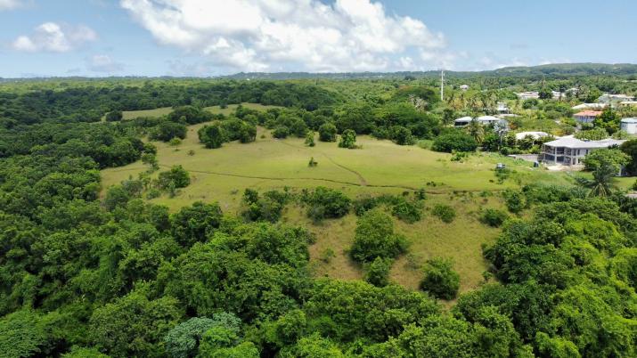 Lascelles Land For Sale Holetown Barbados Aerial 10