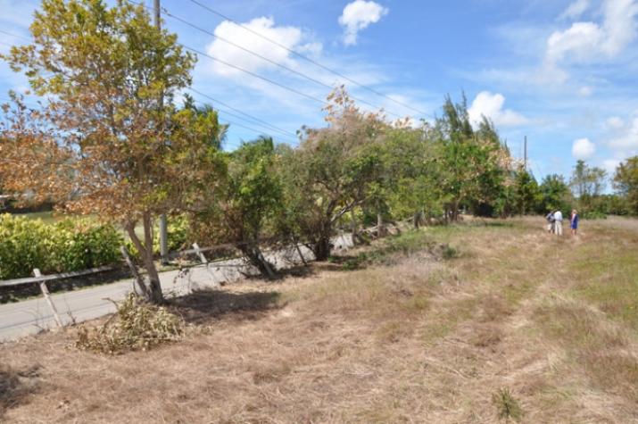 Neils Plantation, St. Michael, Barbados For Sale in Barbados
