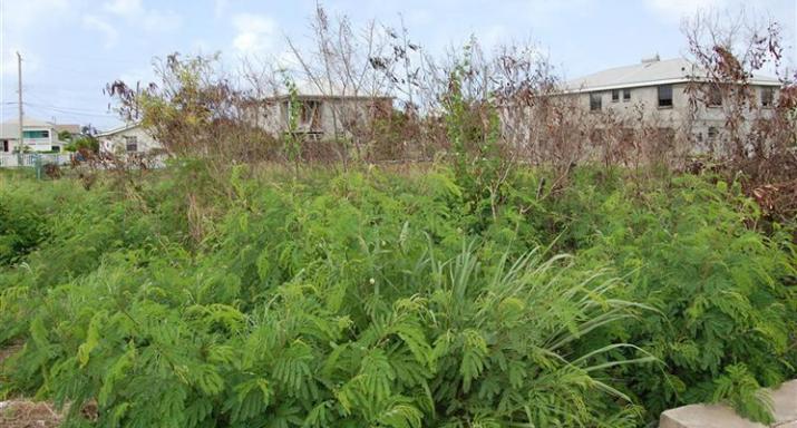 Mangrove Lot 27, St. Philip, Barbados For Sale in Barbados