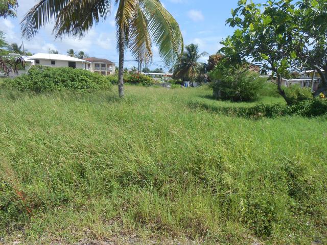 Lashley Road Lot 1,St Philip, Barbados For Sale in Barbados
