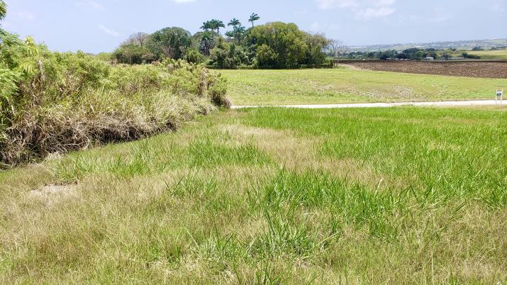 Rolling Hills Lot 106 Barbados For Sale Land View