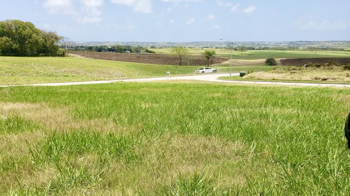 Rolling Hills Lot 106 Barbados For Sale View to Entrance Of Development