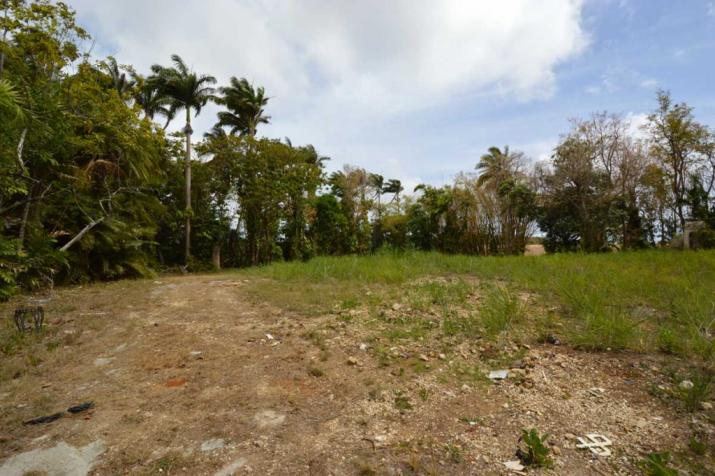 Buckden Estate, St. Joseph, Barbados For Sale in Barbados