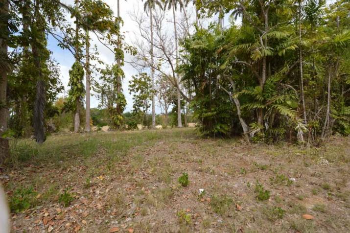 For Sale: Buckden Estate, St. Joseph, Barbados | Land Barbados Property ...