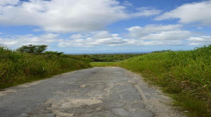 Bushy Park Land, Russia Gully, St. Thomas, Barbados For Sale in Barbados