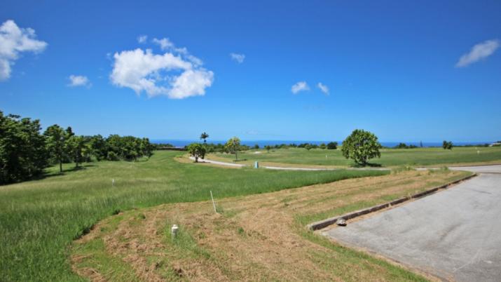 Apes Hill, Cabbage Tree Green, Lot J-40, St. James, Barbados For Sale in Barbados