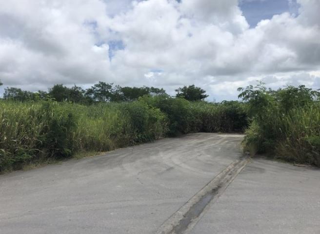 Lower Estate Barbados Commercial Land For Sale Lot 5
