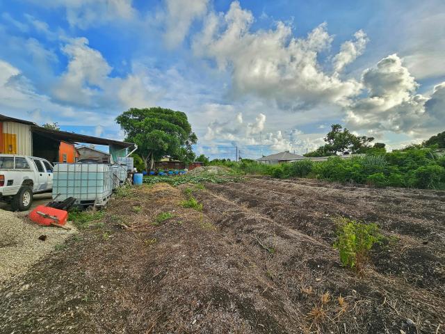 For Sale Home In Charnocks Barbados Rear Land with Plowed Fields