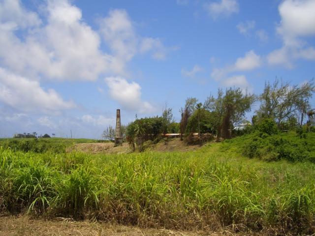 Moncrieffe, Lot 12, St. Philip, Barbados For Sale in Barbados