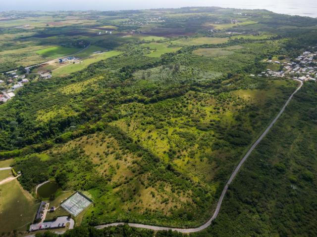 Mount Brevitor Development Land For Sale Barbados 2