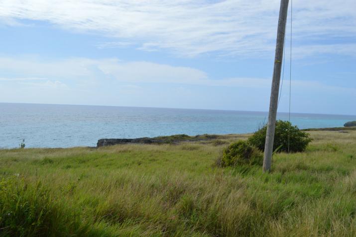 Green Point, St. Philip, Cliff Front Lot For Sale in Barbados