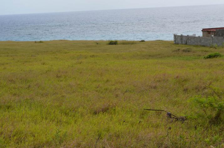 Green Point, St. Philip, Cliff Front Lot For Sale in Barbados