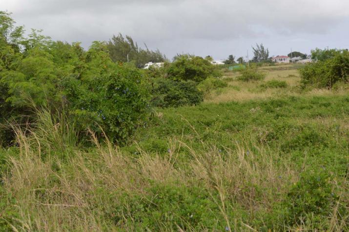 Green Point Development Land, St. Philip, Barbados For Sale in Barbados