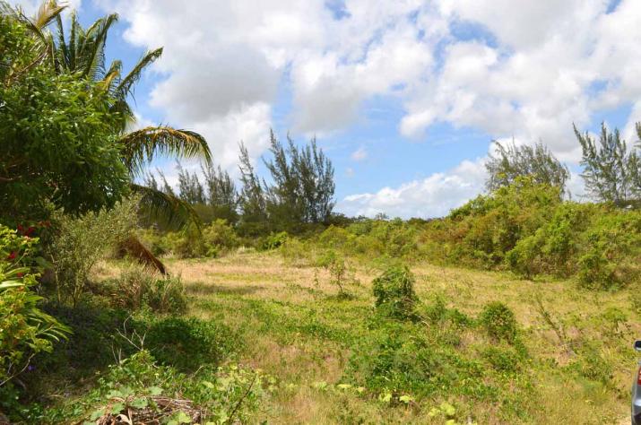 Campaign Castle, Lot 1A, St. George, Barbados For Sale in Barbados