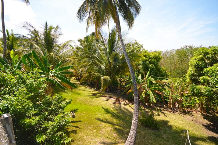 South Ridge #25 Barbados For Sale Gardens