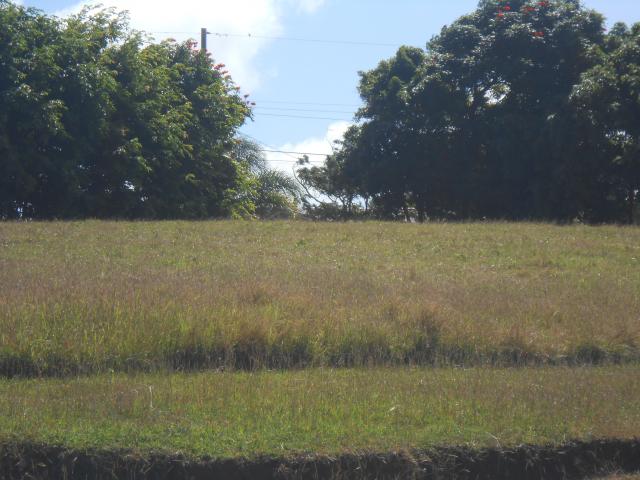 Apes Hill Polo Field, # 14, Waterhall , St. James, Barbados For Sale in Barbados