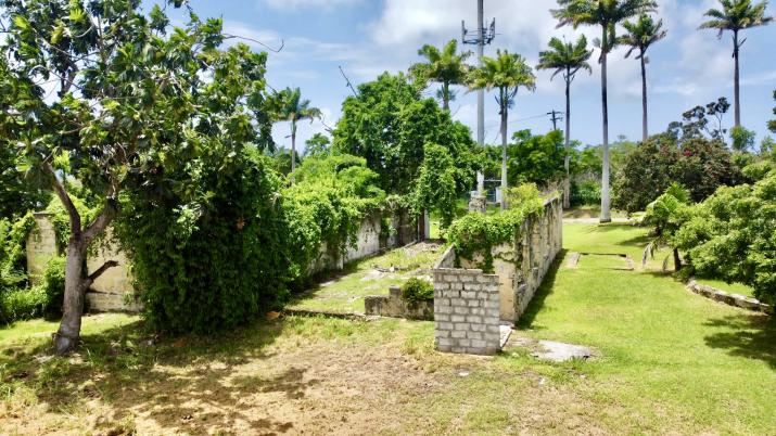 Staple Grove Plantation Yard Barbados For Sale Factory Old Wall