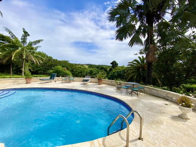 Westmoreland #3 Windrush Barbados For Sale Swimming Pool