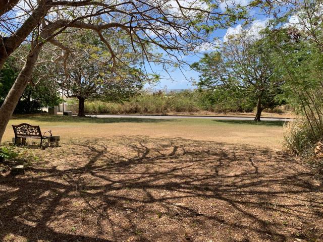 For Sale Rolling Hills Lot 28 Barbados View From Road