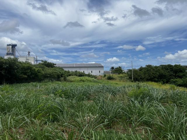 Lower Estate Barbados Commercial Land For Sale Lot 15 Towards Gully