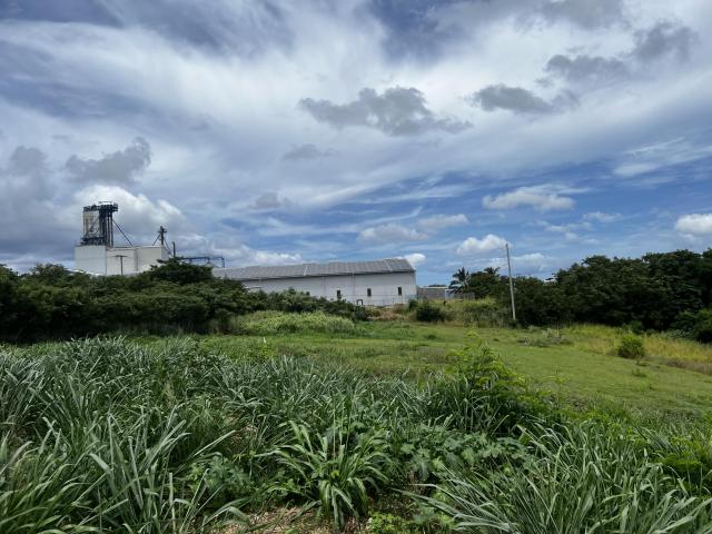 Lower Estate Barbados Commercial Land For Sale Lot Site View