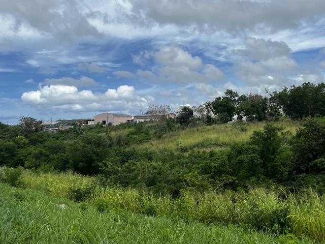 Lower Estate Barbados Commercial Land For Sale Lot 16 Hillview