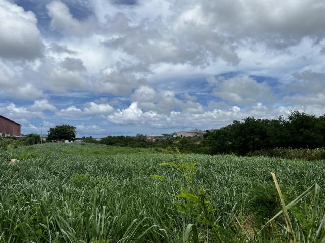 Lower Estate Barbados Commercial Land For Sale Lot 13 View