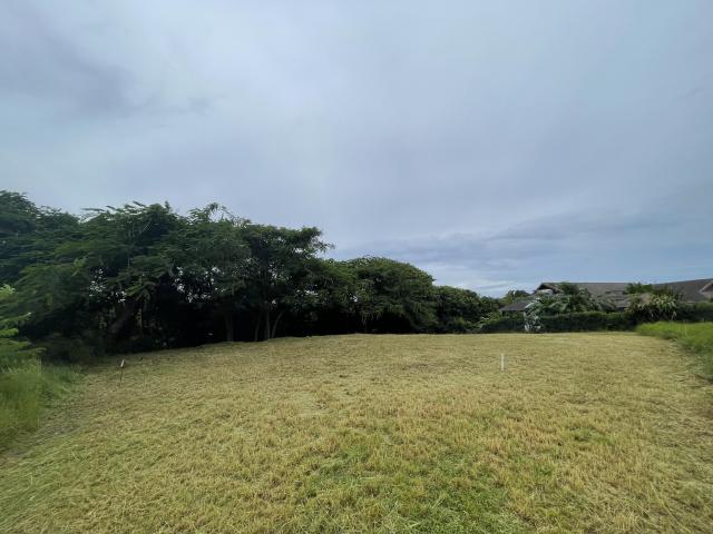 Locust Hall Lot 44 Barbados For Sale Lot View 2