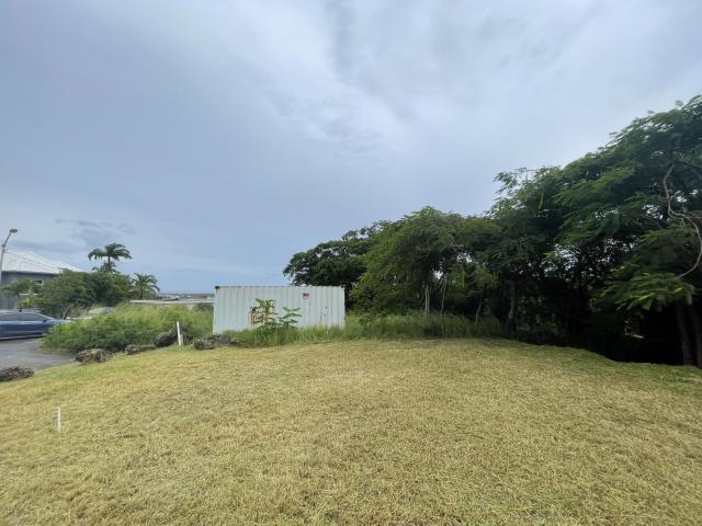 Locust Hall Lot 44 Barbados For Sale Lot View 4