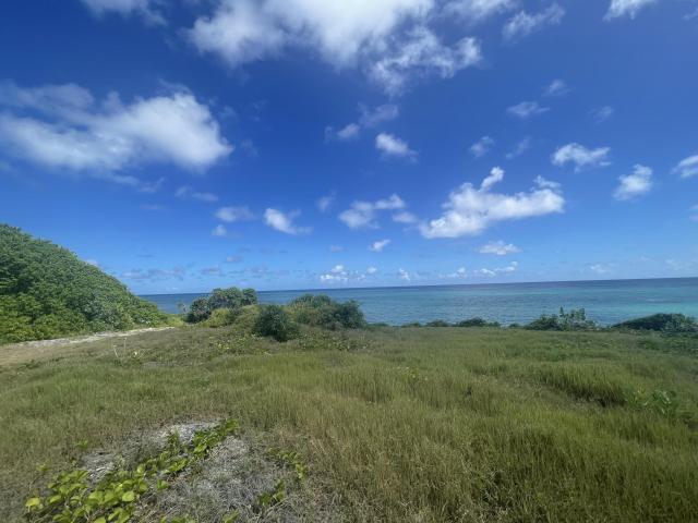 Beachfront Land For Sale In Barbados Lansdown Ocean from Lawn