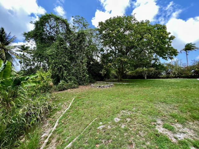 Staple Grove Plantation Yard Barbados For Sale Home Surrounding Gardens