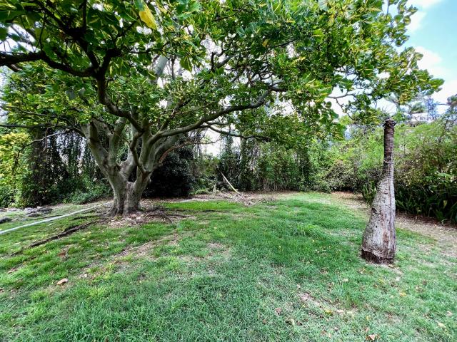 Staple Grove Plantation Yard Barbados For Sale Gardens