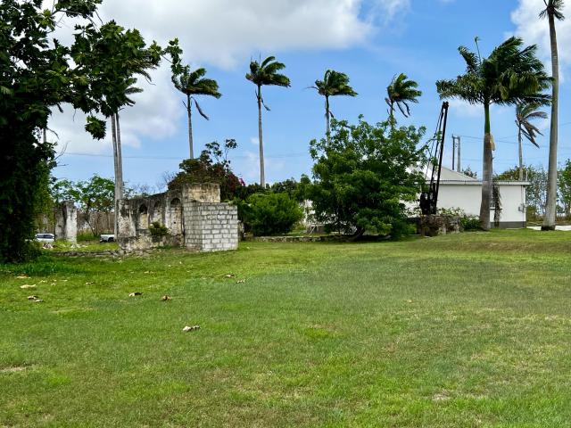 Staple Grove Plantation Yard Barbados For Sale Gardens and External Walls