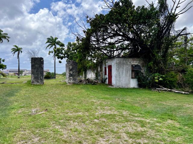Staple Grove Plantation Yard Barbados For Sale External Space