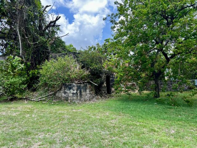 Staple Grove Plantation Yard Barbados For Sale Gardens 3
