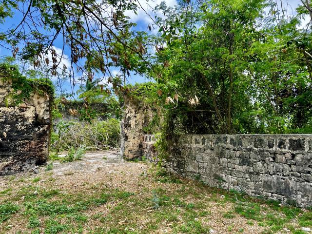Staple Grove Plantation Yard Barbados For Sale Old Wall Surrounding Property
