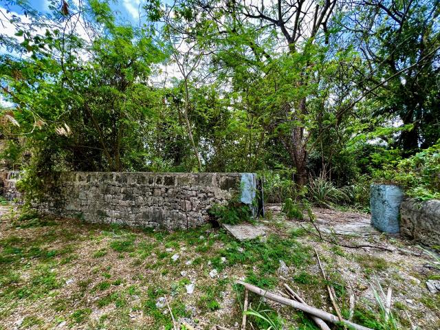Staple Grove Plantation Yard Barbados For Sale Surrounding Walls to East