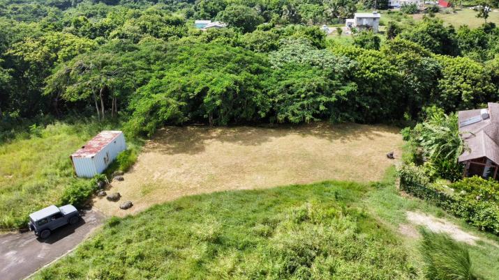 Locust Hall Lot 44 Barbados For Sale Arial View 4