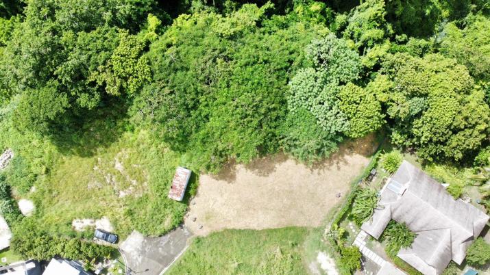 Locust Hall Lot 44 Barbados For Sale Arial View 5