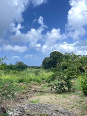 Millionaire Road, Ashton Hall, St. Peter, Barbados For Sale in Barbados