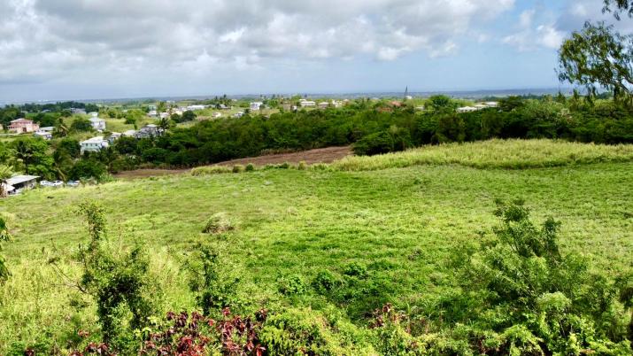 Prospect Farms 4 Bedroom Home For Sale In Barbados Aerial of Land and View to South