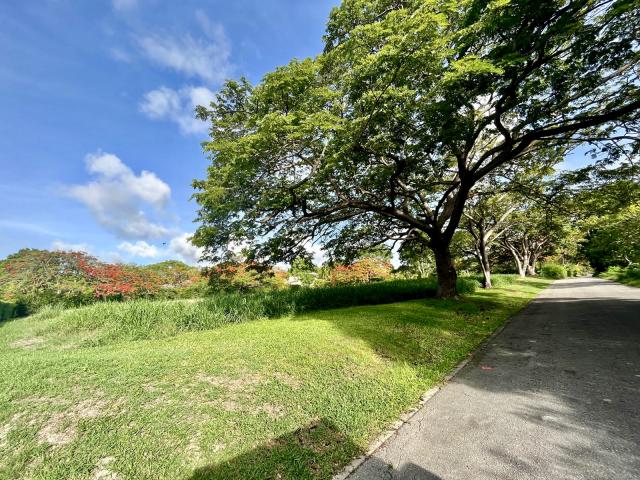 Lot 161 Harbin Alleyne Road Land For Sale In Barbados Lot View From Salters Road