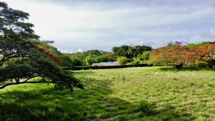 Lot 161 Harbin Alleyne Road Land For Sale In Barbados Lot View From Harbin Alleyne Road