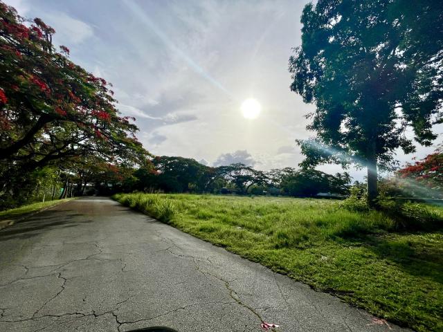 Lot 161 Harbin Alleyne Road Land For Sale In Barbados Road View Of Lot