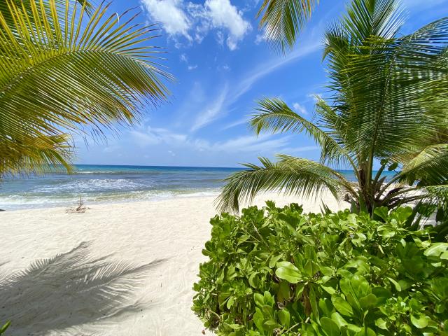 White Sands Beach Villas, One Bedroom, St. Lawrence Gap, Barbados For Sale in Barbados