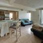 Standel Apartment Suites For Sale Apartment Living Room