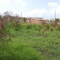 Mangrove Lot 27, St. Philip, Barbados For Sale in Barbados